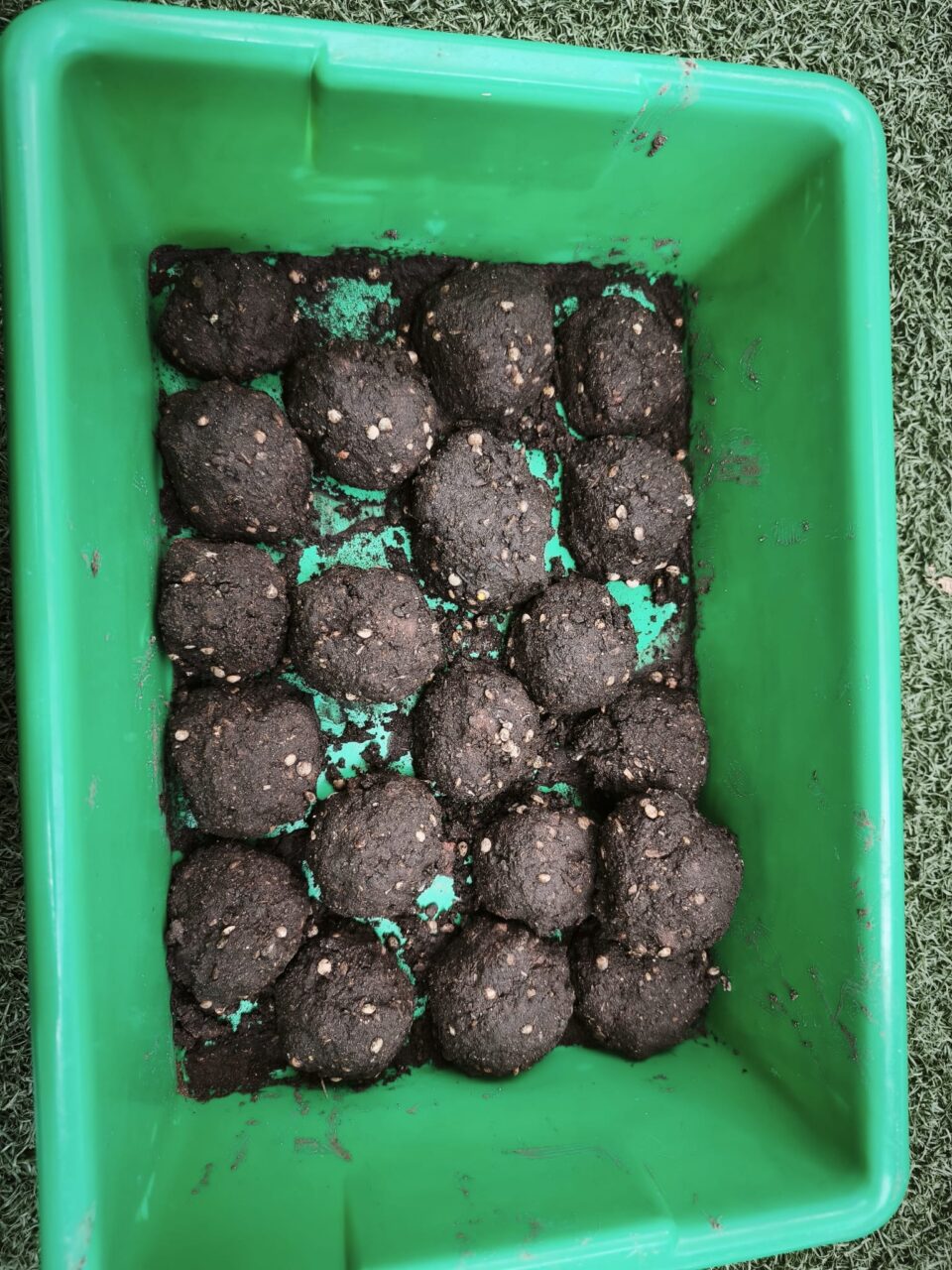 Bombas de semilla